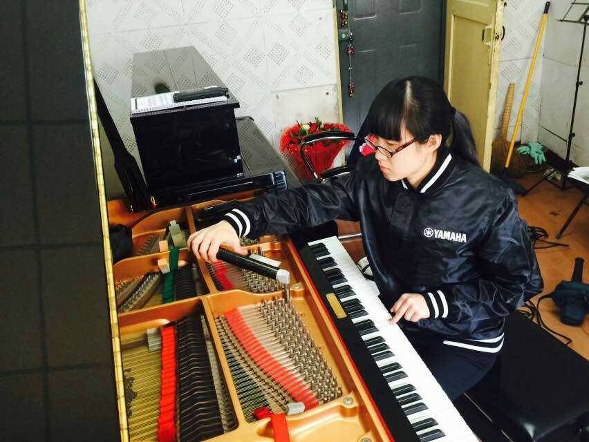 湖南师范大学、湖南师范学院，d88尊龙z6高校技术服务