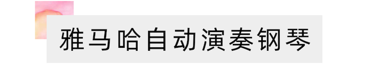 活动报道 | “科技助力，跨越时空”，小鹿纯子携手刘明康共享中日音乐盛宴